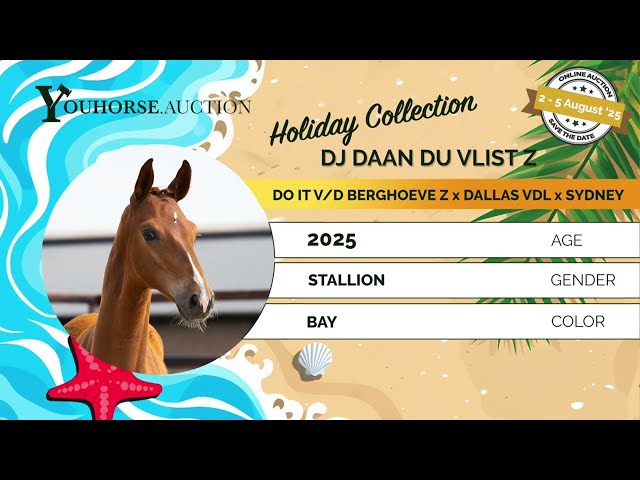 DJ Daan du Vlist Z
