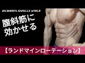 【強く/魅せる腹斜筋を作る】ランドマインローテーション