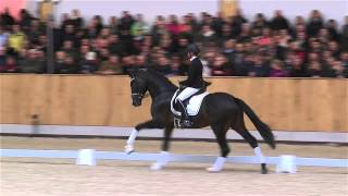 Video of Sonnentanz 9