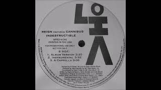 Reign (feat. Canibus) - Indestructible (Prod. by Steve Morales) INSTRUMENTAL