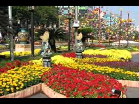 Nếu biết mùa xuân Sheet - Đăng Hiếu