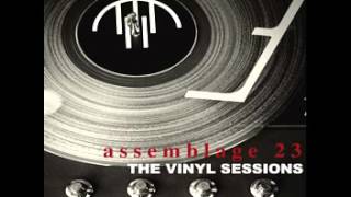 Assemblage 23 - Purgatory Analog Mix