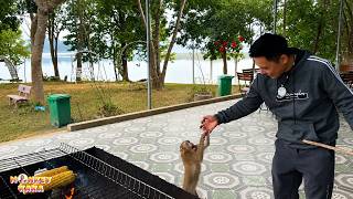 Monkey Kaka just wants her dad to stay with her forever.