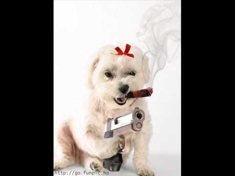 Long Pigsqueal? I think so.