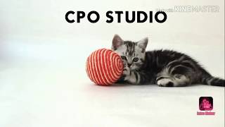 How to delete Google account from your android phone: cpo studio