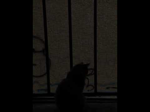 Müneccim v2 - İkra v Kayra - Fatih