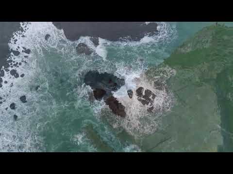 Orinoco Flow  - Taliesin Orchestra