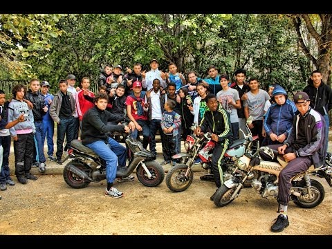 Elams - Generation Cramer (Clip Officiel)