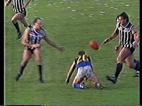 SANFL Round 18 1991 - Port vs Eagles; Norwood vs West
