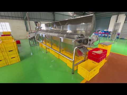 Locus Cashew Split Grading Machine