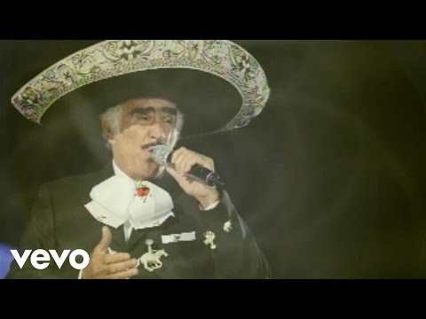 Vicente Fernández - Hilos De Plata (Audio)