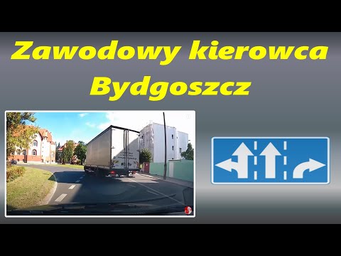 Kierowca zawodowy