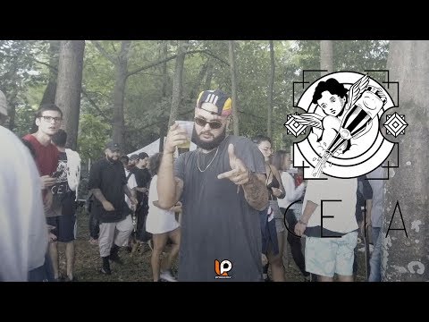 DAILY VLOG #5 | Show Ceia Ent. no Parque Villa Lobos - LP Produções