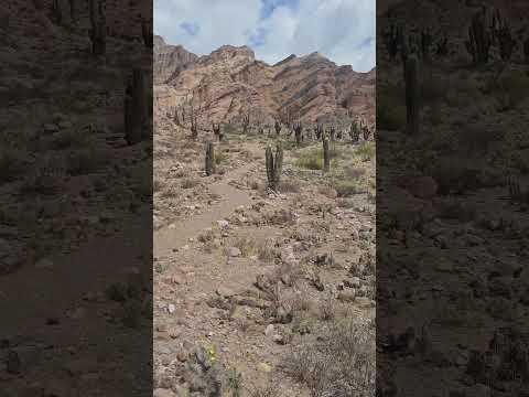 Iruyito, #maimara, #jujuy, #argentina