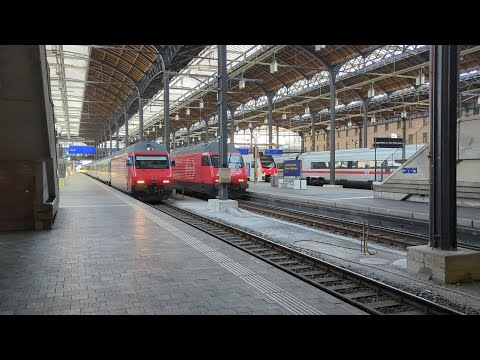 Der Bahnhof Basel SBB, Der Grösste Grenzbahnhof Europas