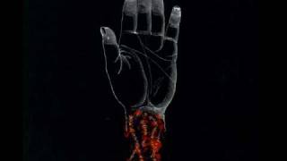 Converge In Her Shadow