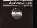 Wonderful Life (Club Mix) *PROMO* 