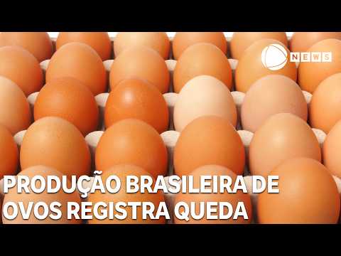 Produção brasileira de ovos registra queda no 1º trimestre, aponta IBGE