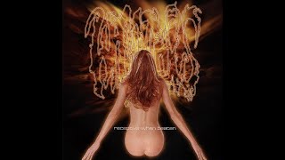 Waco Jesus - Fuck Sobriety