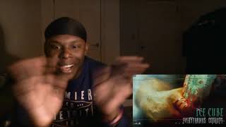 Ice Cube  Chase Down The Bully [Audio] reaction video