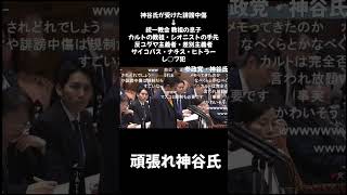 誹謗中傷はしちゃ駄目なんだよね　#神谷宗幣 #参政党 #国会中継