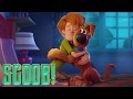 Scooby Doo And Shaggy SCOOB