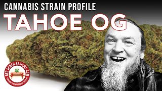 Tahoe OG Strain Profile by Red Bench Reviews
