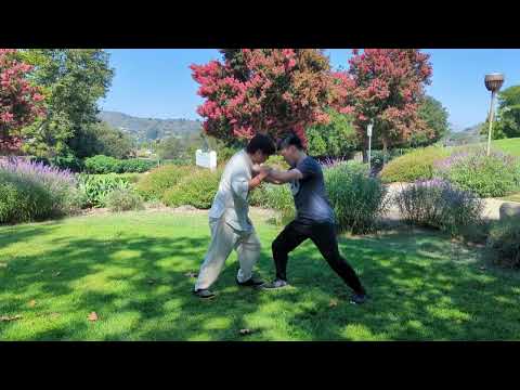 Tai Chi's Secret Power: Silk Reeling Energy in Chen vs Yang Style