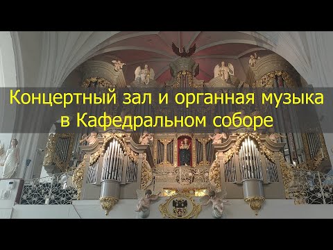 Калининград органный концерт в кафедральном соборе. Органный мини концерт в кафедральном. Калининград органный концерт в кафедральном соборе. Калининград органный концерт в кафедральном соборе. Органные ассамблеи.