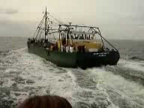 Mosseldag Yerseke 2008