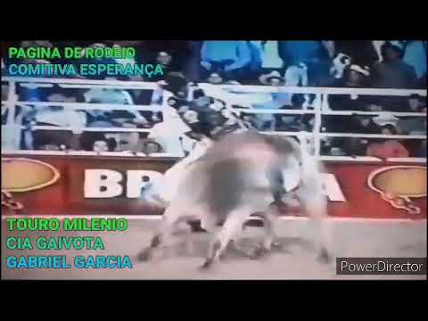 CIA DE RODEIO GAIVOTA, PROPIETARIO GABRIEL GARCIA  , TOURO MILENIO.