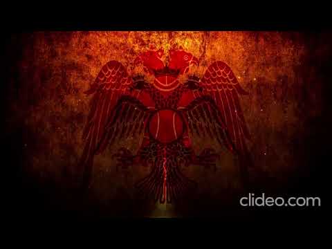 Lion Roars !!  Original video song by -Farya Faraji-