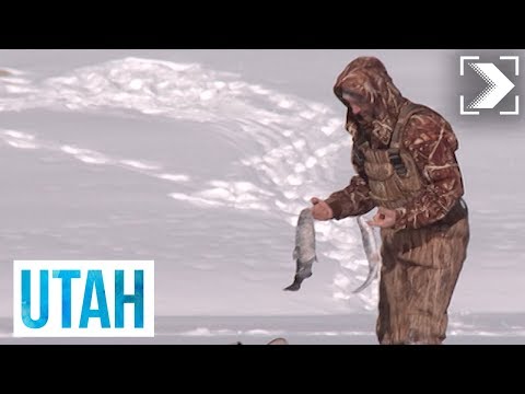 Españoles en el mundo: Utah - Programa completo | RTVE