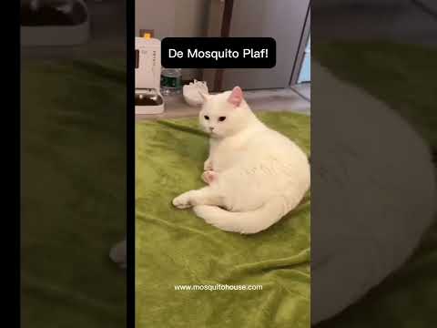 ¿Te enteraste? Mosquito Plaf! El juego de cartas de estas navidades