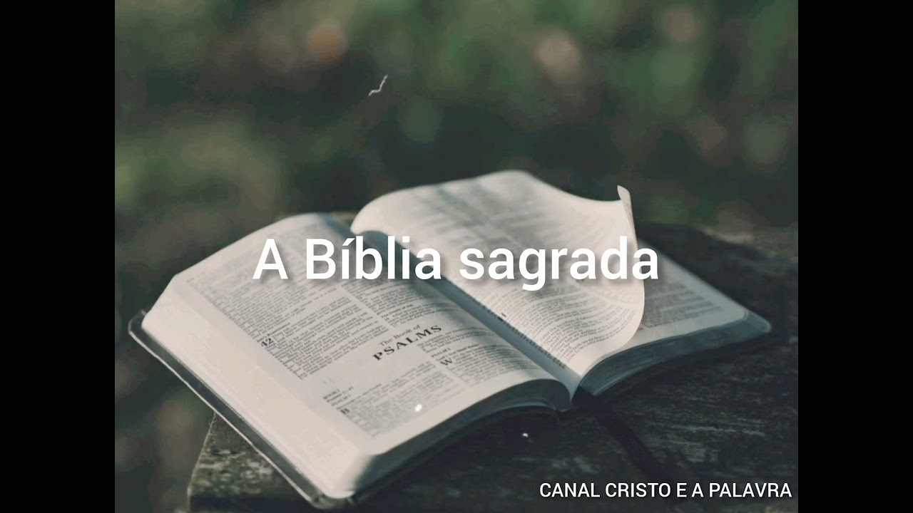 Deus faz uma aliança com Noé Noé e os seus filhos