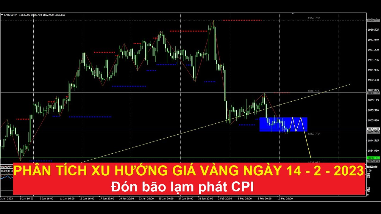 Video phân tích giá vàng ngày 14/02/02023