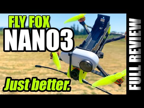 image-How far can a flying fox fly?
