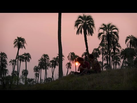 Bajan - Koino Yokan