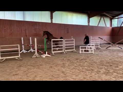 Big City Light *2018 Brantzau x Catoki