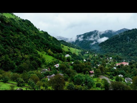 Hogyan lett Lankaran Azerbajdzsán gyümölcsben és erdőkben leggazdagabb vidéke?