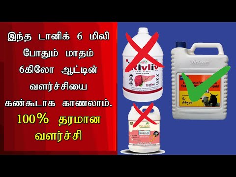 Madurai Kiruba Pets, Madurai - Pet Accessories and pet medicines