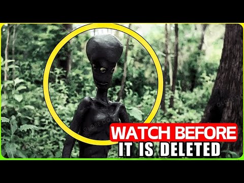 Scientists STUNNED! Hunting Camera Catches LIFE-FORM FROM BEYOND EARTH That Shock World! Documentary