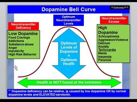 How Blood Sugar Influences Dopamine Adrenalin Levels