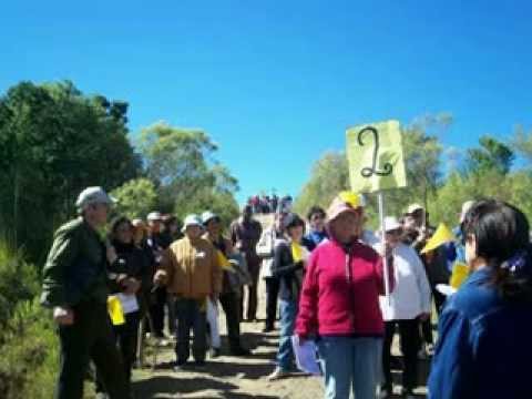 Pregrinación a la Cruz del Cerro Largo 2013 Año de la Fe.