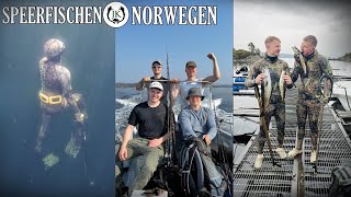 Skandinavien Road Trip &amp; Speerfischen in Norwegen VLOG -  Jagdkrone