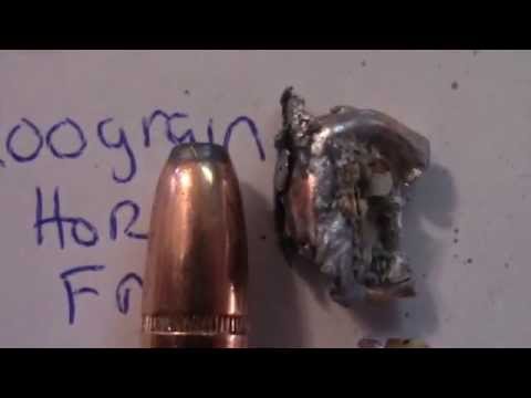 348 Bullets for Bison