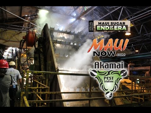 Maui Sugar - End of an Era: Mill Tour