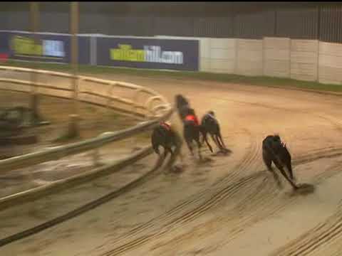 2017 WILLIAM HILL SPRINT - T2 HIYA BUTT