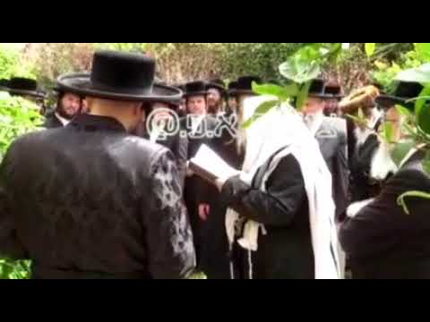 Sanz Klausenburg Rebbe Making Birkas Hailonos - Nissan 5782