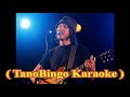 Elliott Smith - Between the Bars ( TanoBingo Karaoke )